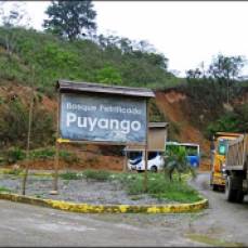 23 - Dirección,a pie,a la entrada del Bosque Petrificado Puyango - ruta E25 Arenillas-Alamor (Ecuador,enero 2013)
